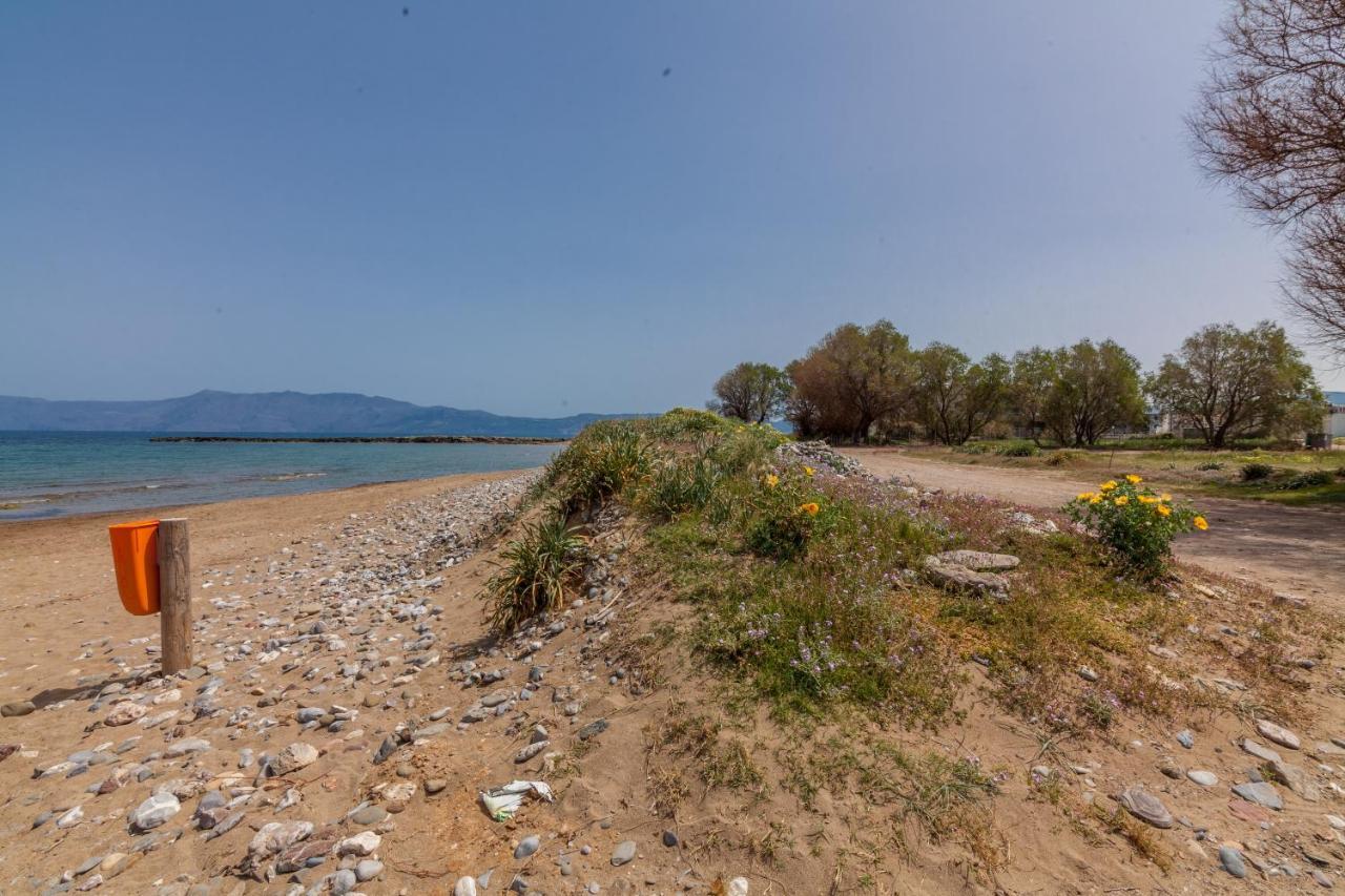 Kissamos Sea View Beach Apartments Екстериор снимка